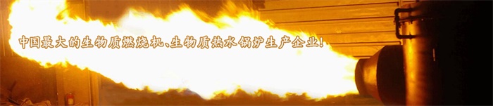 生物質(zhì)燃燒機